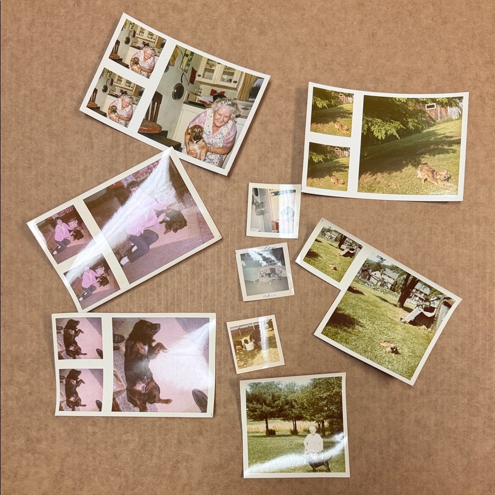 Vintage Photo Collection